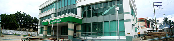 Construction & Renovation